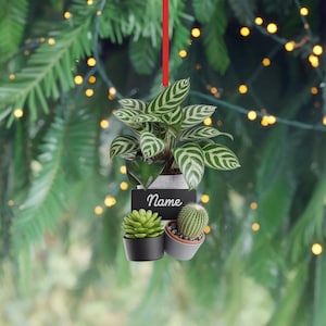 Personalized Plant Ornament, Houseplant Decor Ornament, Greenery Tree Ornament, Custom Name Ornament For Plant Lovers